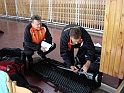g11402