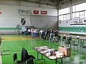 g11501